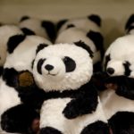 シャンシャンぬいぐるみ 生まれたてのピンク 10 日目 の再販入荷情報 おまとめコレクション